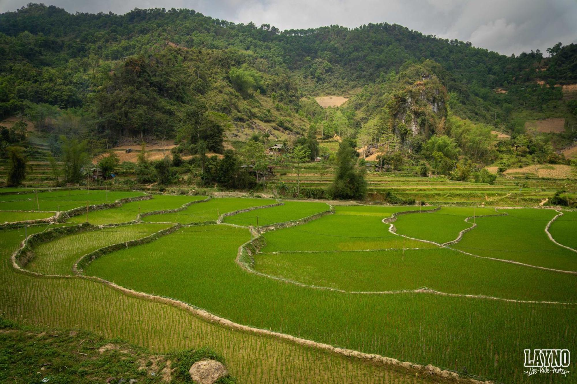 Quiri Hostel Ha Giang Lang Lap Zewnętrze zdjęcie