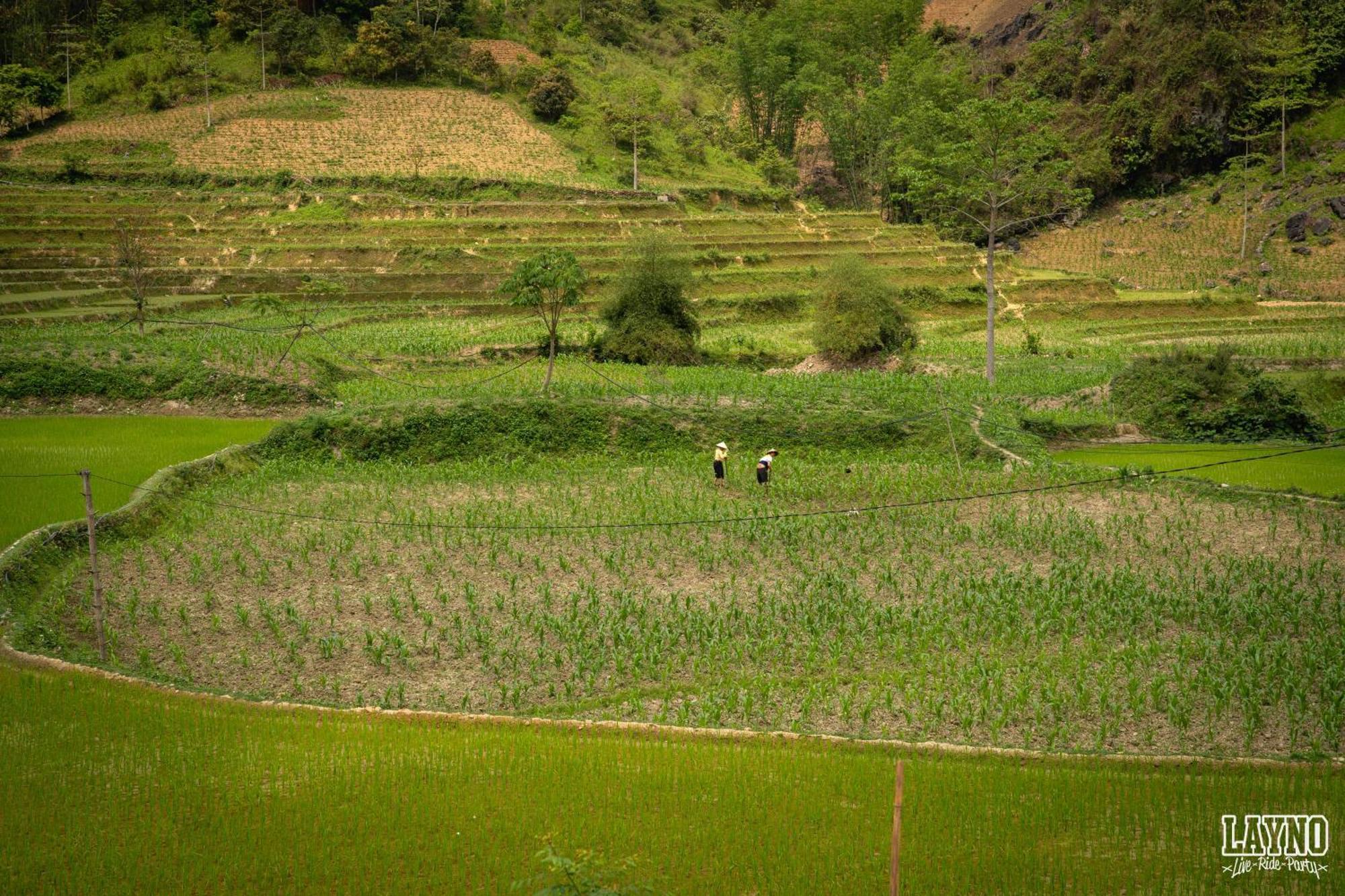 Quiri Hostel Ha Giang Lang Lap Zewnętrze zdjęcie